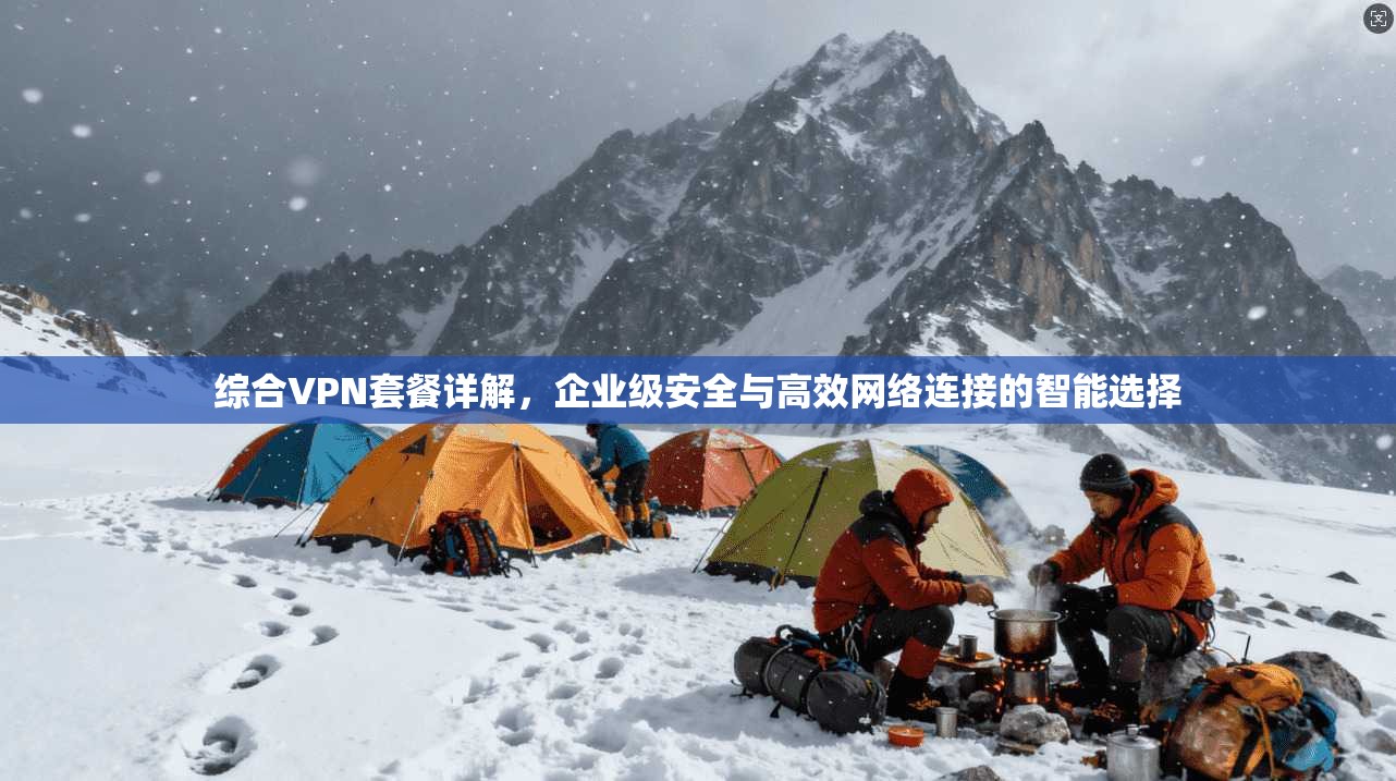 综合VPN套餐详解，企业级安全与高效网络连接的智能选择