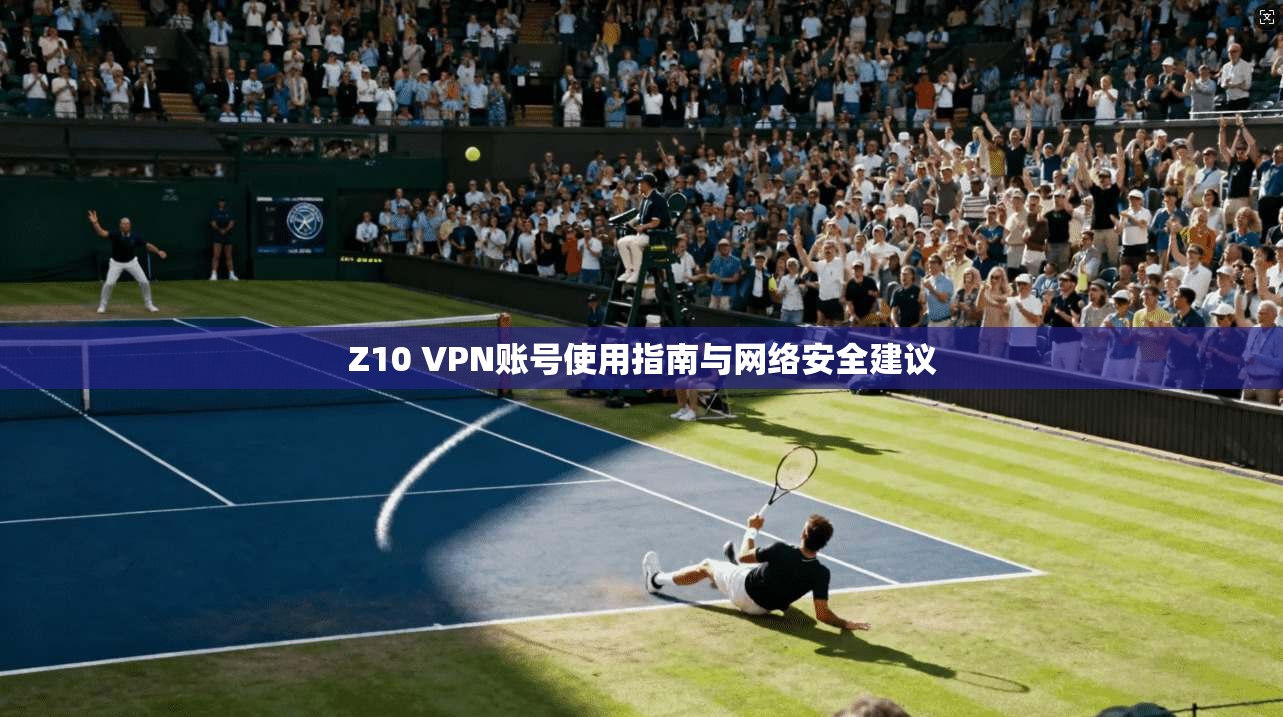 Z10 VPN账号使用指南与网络安全建议