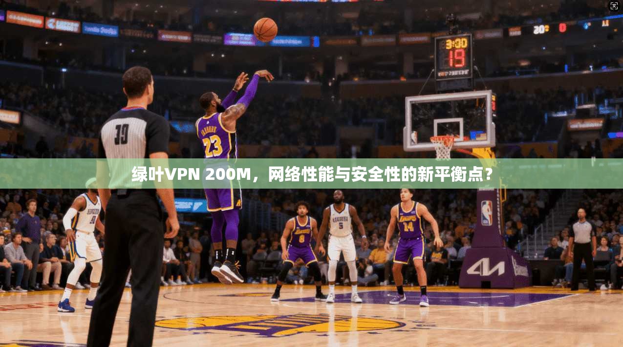 绿叶VPN 200M,网络性能与安全性的新平衡点?