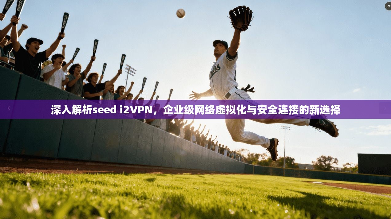 深入解析seed i2VPN，企业级网络虚拟化与安全连接的新选择