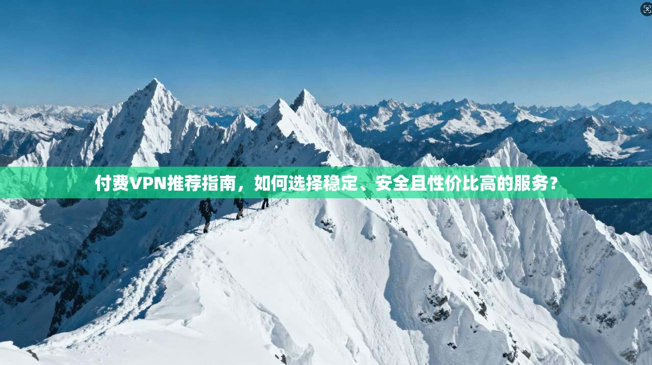 付费VPN推荐指南，如何选择稳定、安全且性价比高的服务？