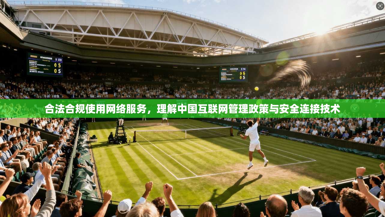 合法合规使用网络服务，理解中国互联网管理政策与安全连接技术