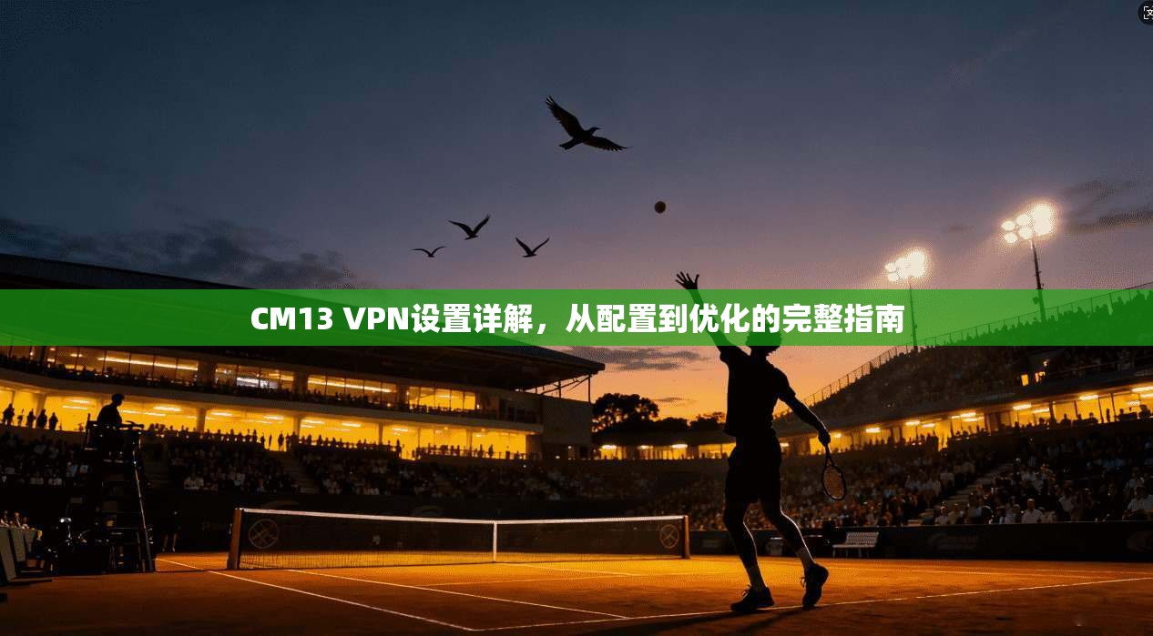 CM13 VPN设置详解，从配置到优化的完整指南