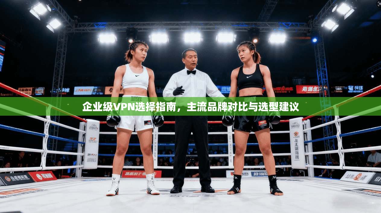 企业级VPN选择指南,主流品牌对比与选型建议 企业级VPN选择指南,主流品牌对比与选型建议