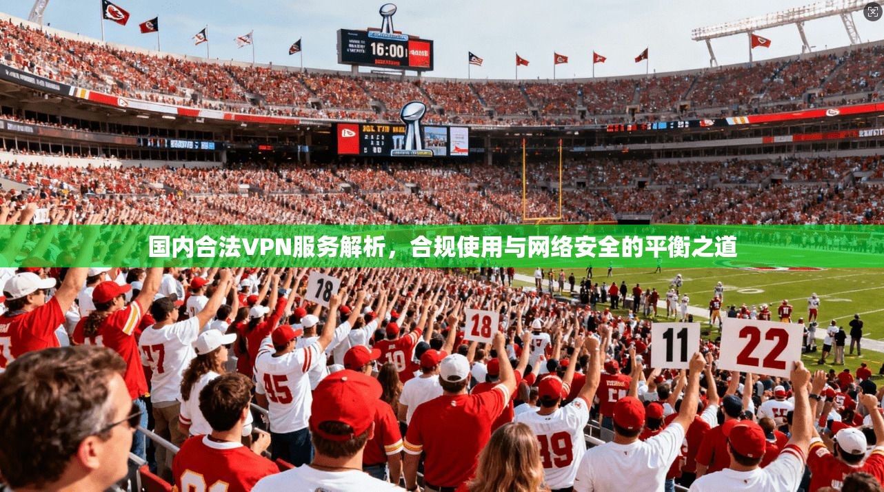 国内合法VPN服务解析，合规使用与网络安全的平衡之道