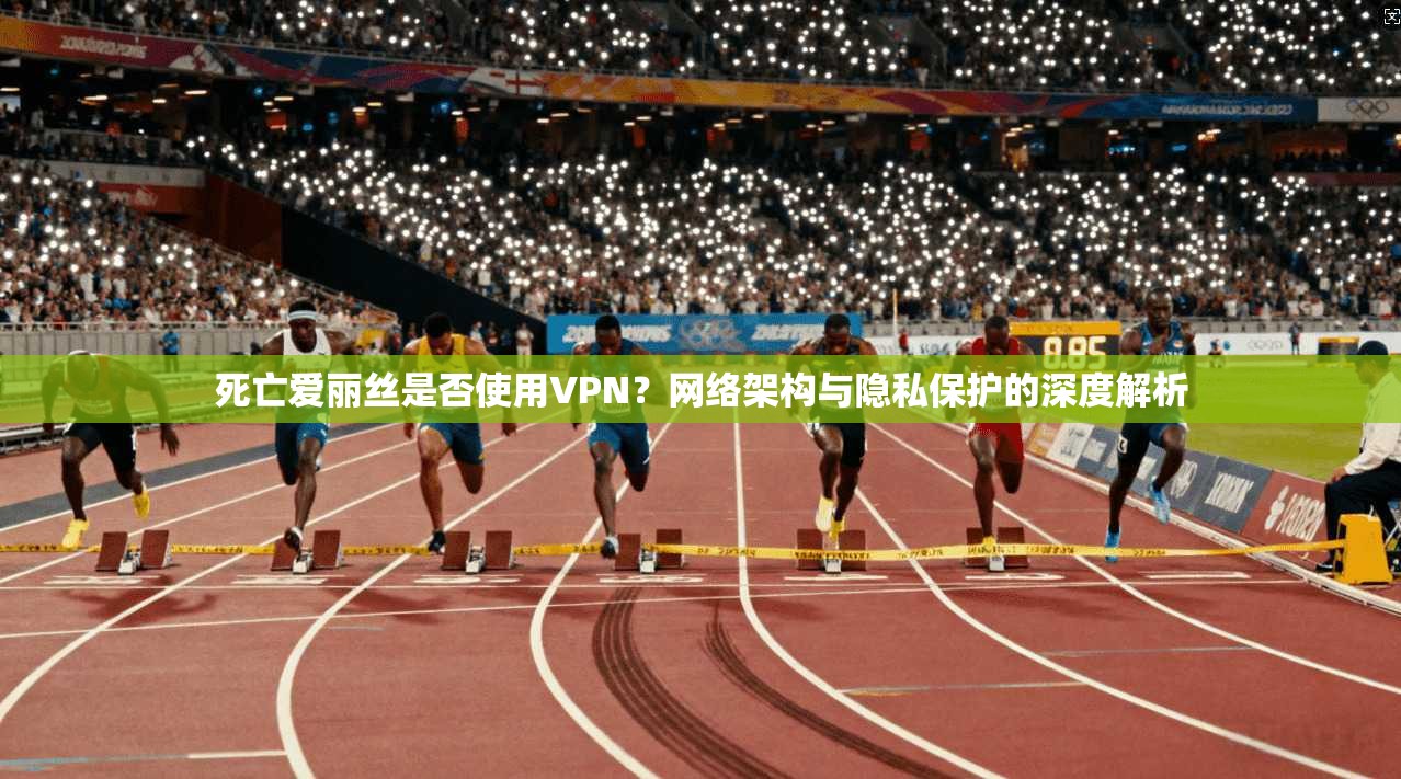 死亡爱丽丝是否使用VPN？网络架构与隐私保护的深度解析