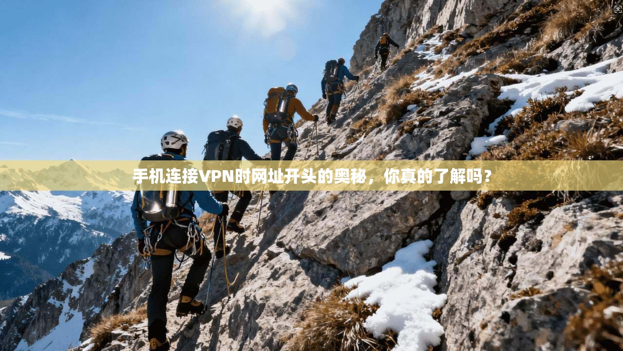 手机连接VPN时网址开头的奥秘,你真的了解吗?