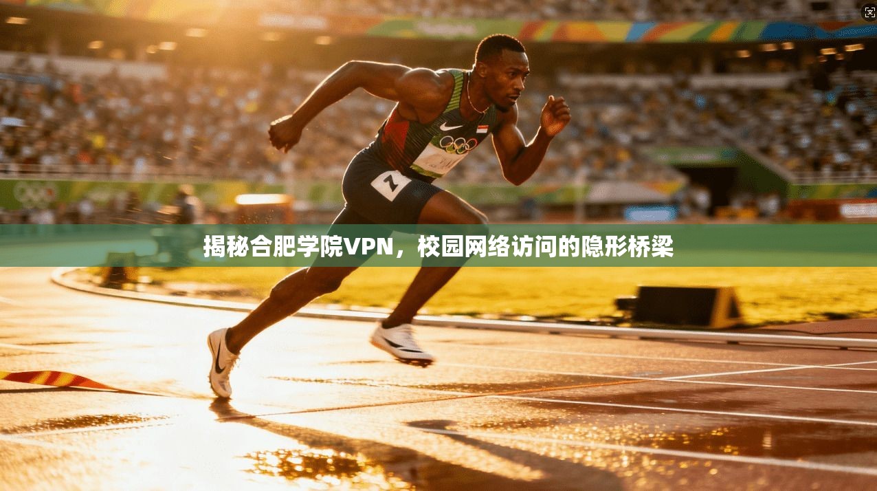揭秘合肥学院VPN,校园网络访问的隐形桥梁 揭秘合肥学院VPN,校园网络访问的隐形桥梁