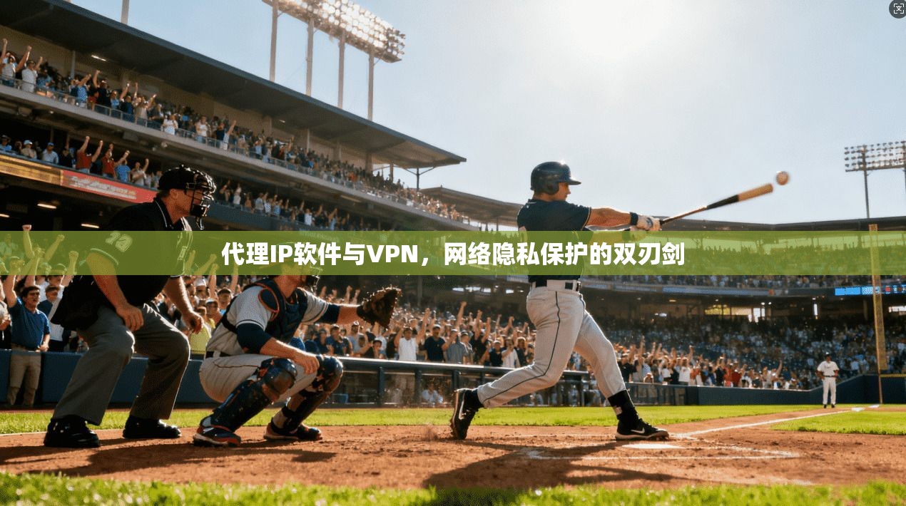 代理IP软件与VPN，网络隐私保护的双刃剑
