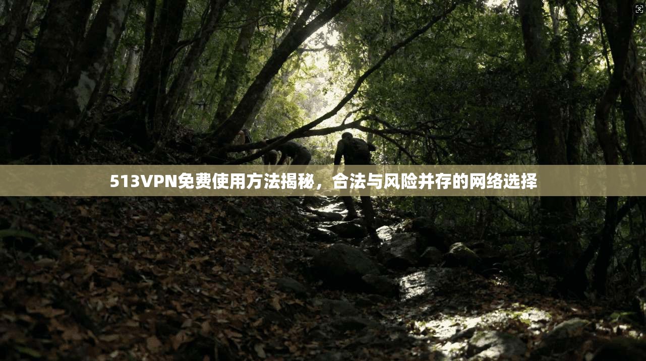 513VPN免费使用方法揭秘，合法与风险并存的网络选择