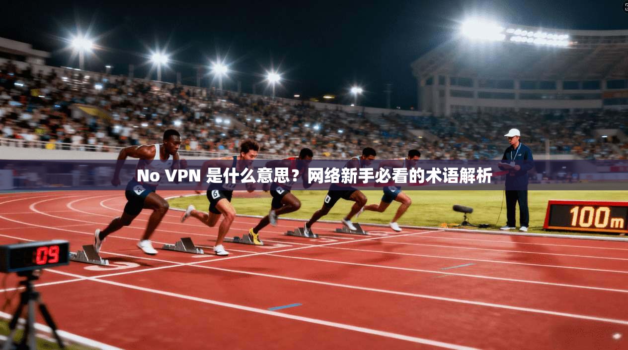 No VPN 是什么意思？网络新手必看的术语解析