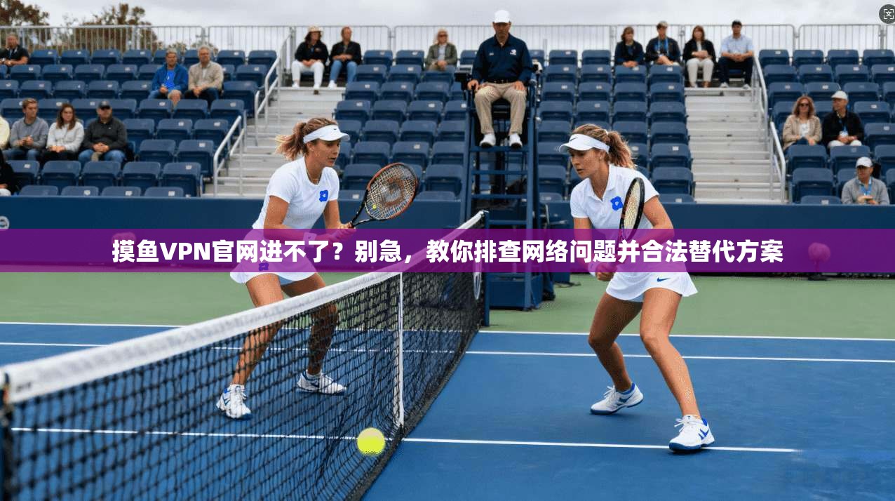 摸鱼VPN官网进不了？别急，教你排查网络问题并合法替代方案