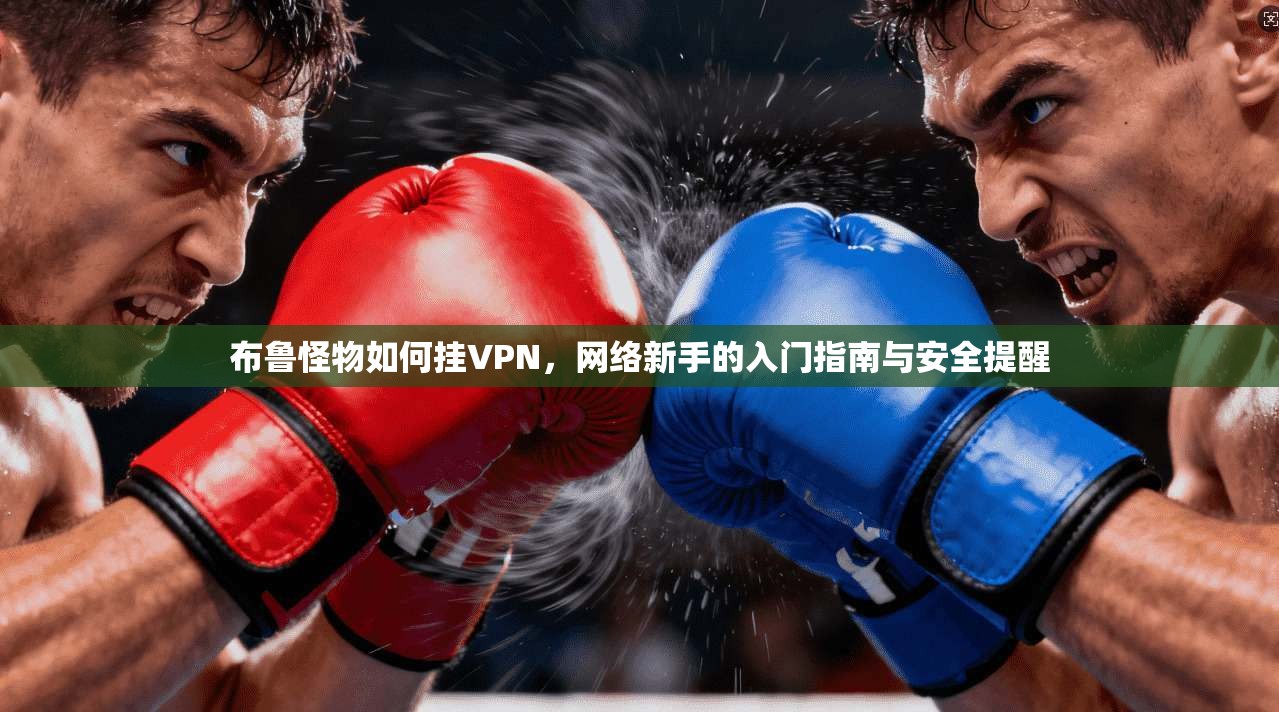 布鲁怪物如何挂VPN，网络新手的入门指南与安全提醒