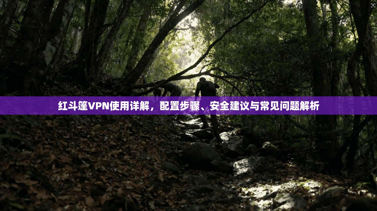 红斗篷VPN使用详解,配置步骤、安全建议与常见问题解析 红斗篷VPN使用详解,配置步骤、安全建议与常见问题解析