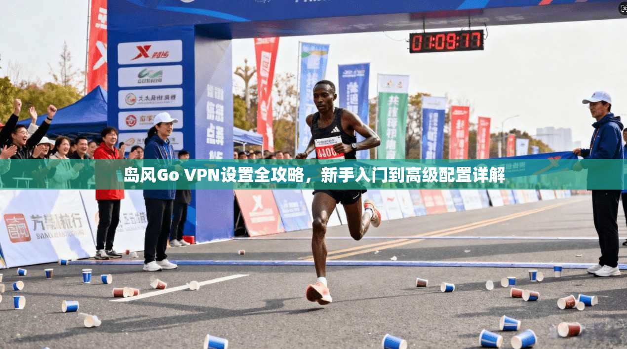 岛风Go VPN设置全攻略，新手入门到高级配置详解