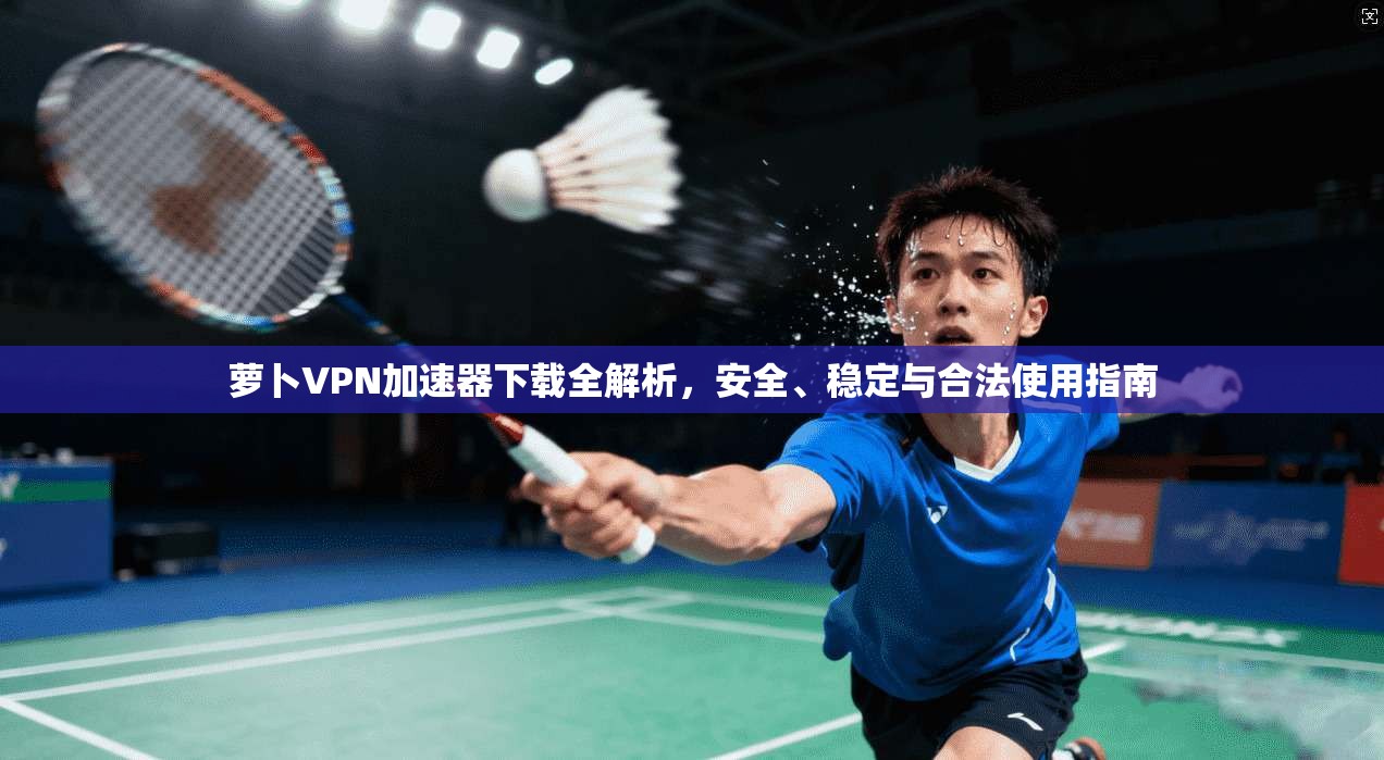 萝卜VPN加速器下载全解析，安全、稳定与合法使用指南