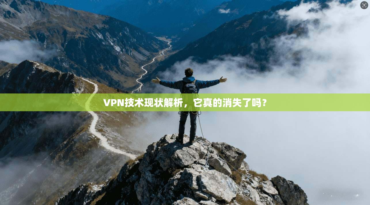 VPN技术现状解析，它真的消失了吗？