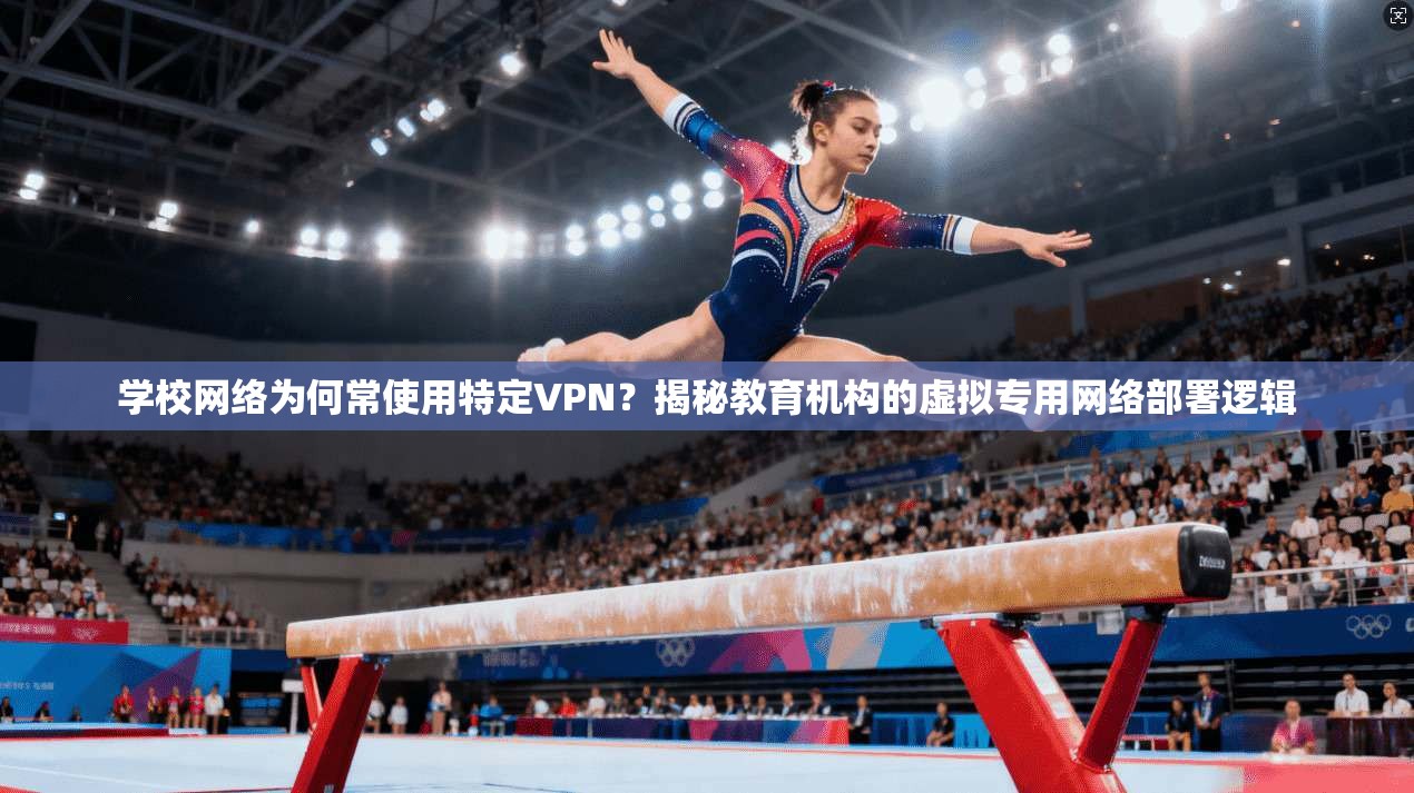 学校网络为何常使用特定VPN？揭秘教育机构的虚拟专用网络部署逻辑