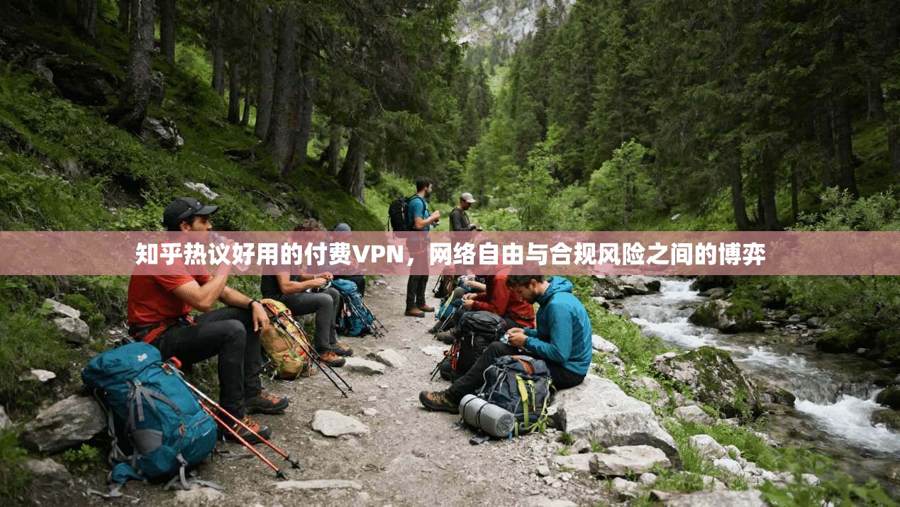 知乎热议好用的付费VPN,网络自由与合规风险之间的博弈