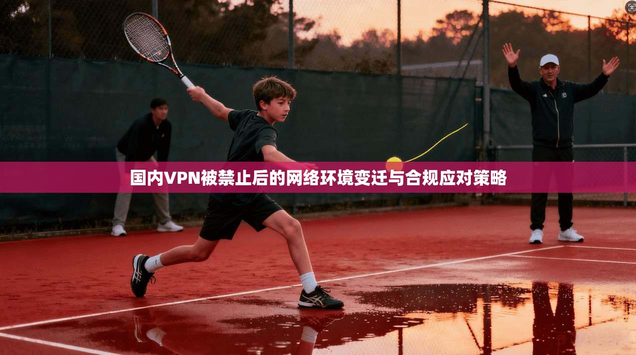 国内VPN被禁止后的网络环境变迁与合规应对策略