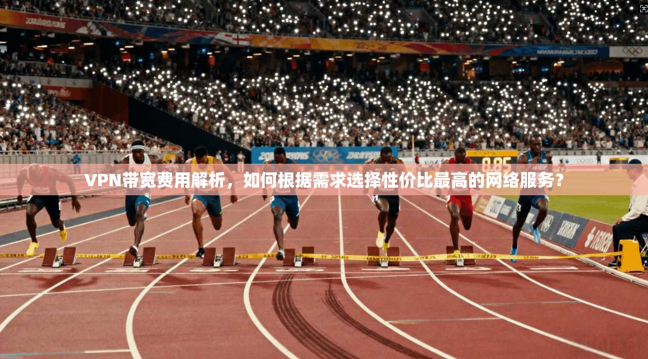 VPN带宽费用解析，如何根据需求选择性价比最高的网络服务？