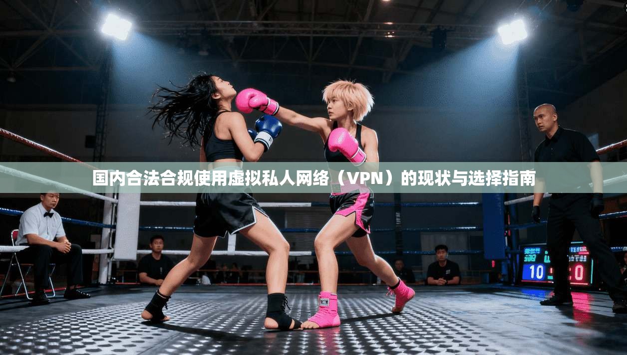 国内合法合规使用虚拟私人网络（VPN）的现状与选择指南