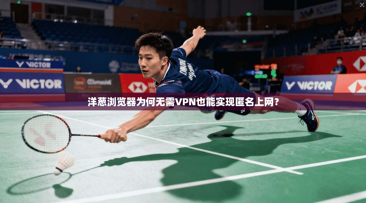 洋葱浏览器为何无需VPN也能实现匿名上网？