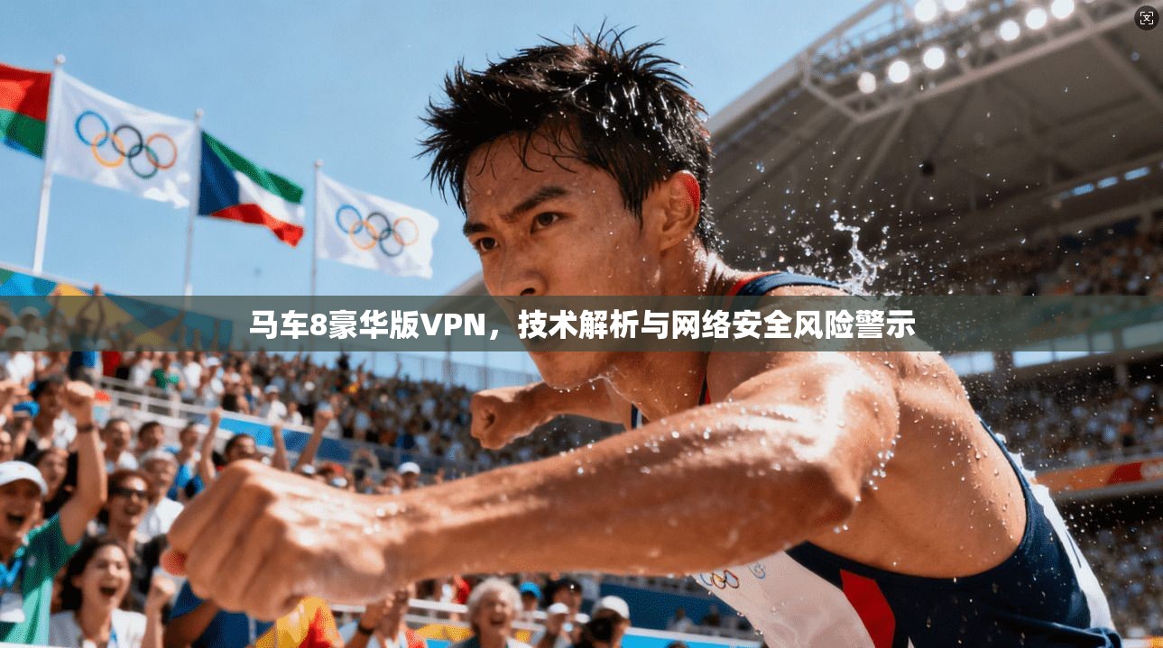 马车8豪华版VPN,技术解析与网络安全风险警示 马车8豪华版VPN,技术解析与网络安全风险警示