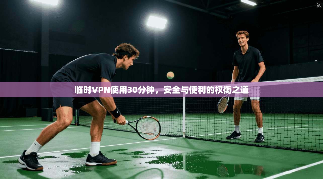 临时VPN使用30分钟，安全与便利的权衡之道