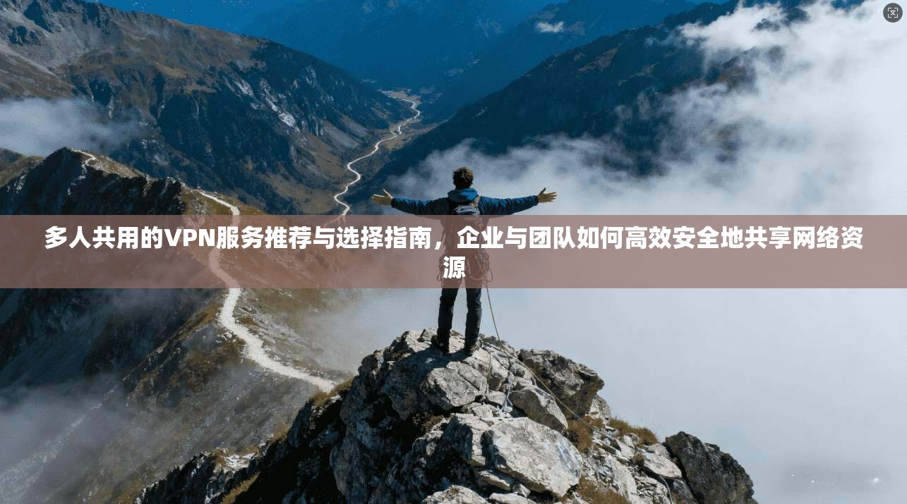 多人共用的VPN服务推荐与选择指南,企业与团队如何高效安全地共享网络资源