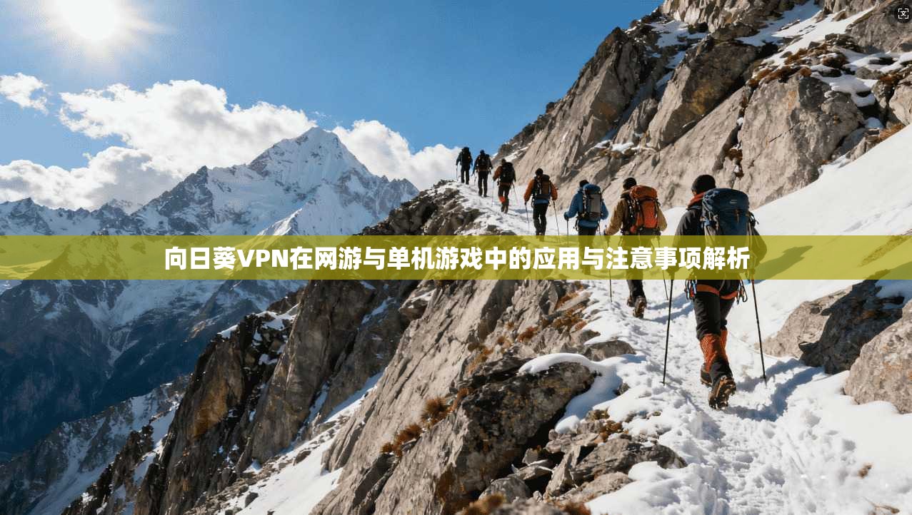 向日葵VPN在网游与单机游戏中的应用与注意事项解析 向日葵VPN在网游与单机游戏中的应用与注意事项解析