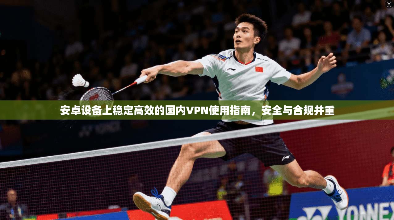 安卓设备上稳定高效的国内VPN使用指南，安全与合规并重