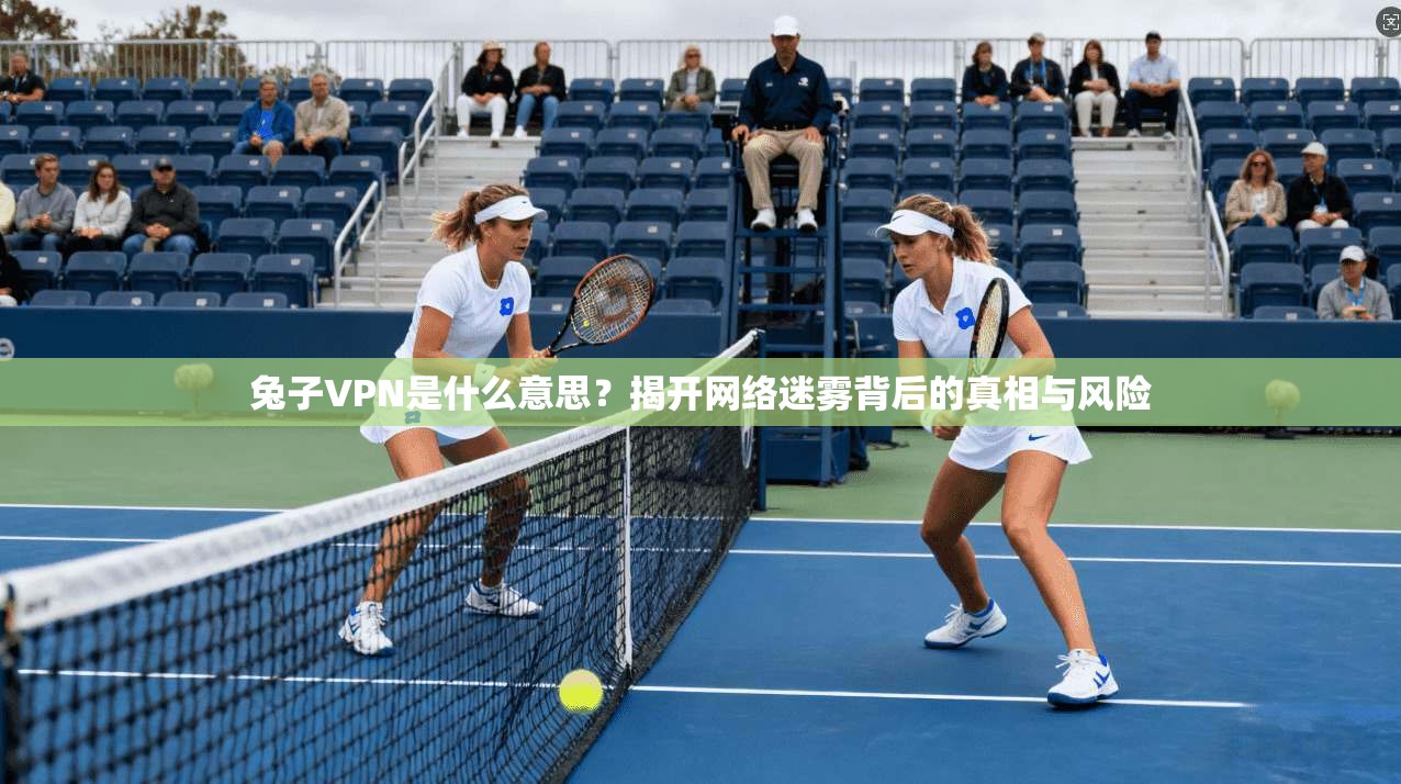 兔子VPN是什么意思？揭开网络迷雾背后的真相与风险