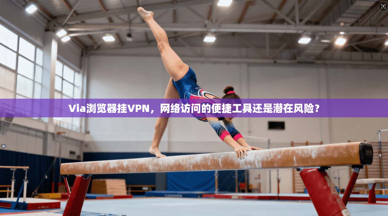 Via浏览器挂VPN,网络访问的便捷工具还是潜在风险?