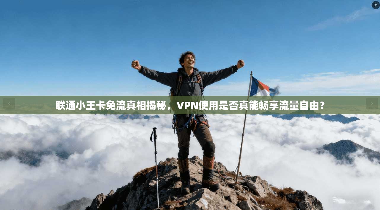 联通小王卡免流真相揭秘,VPN使用是否真能畅享流量自由?