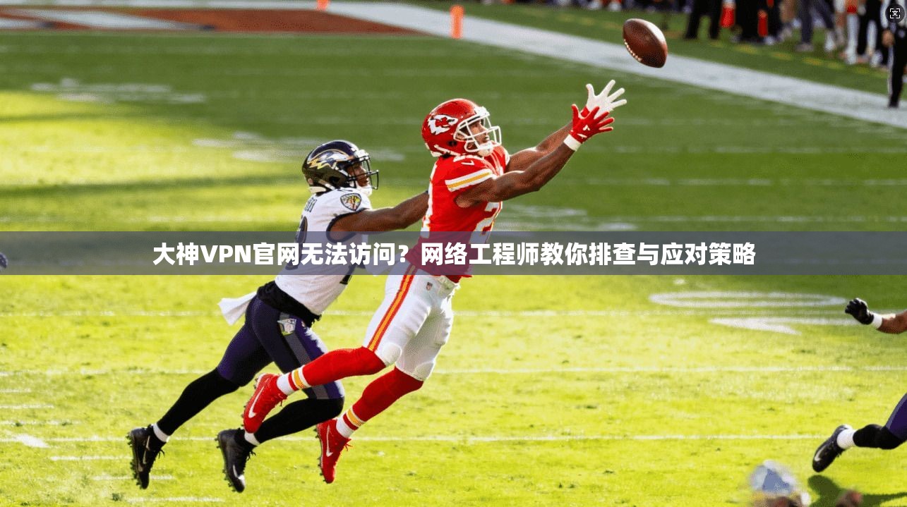 大神VPN官网无法访问?网络工程师教你排查与应对策略
