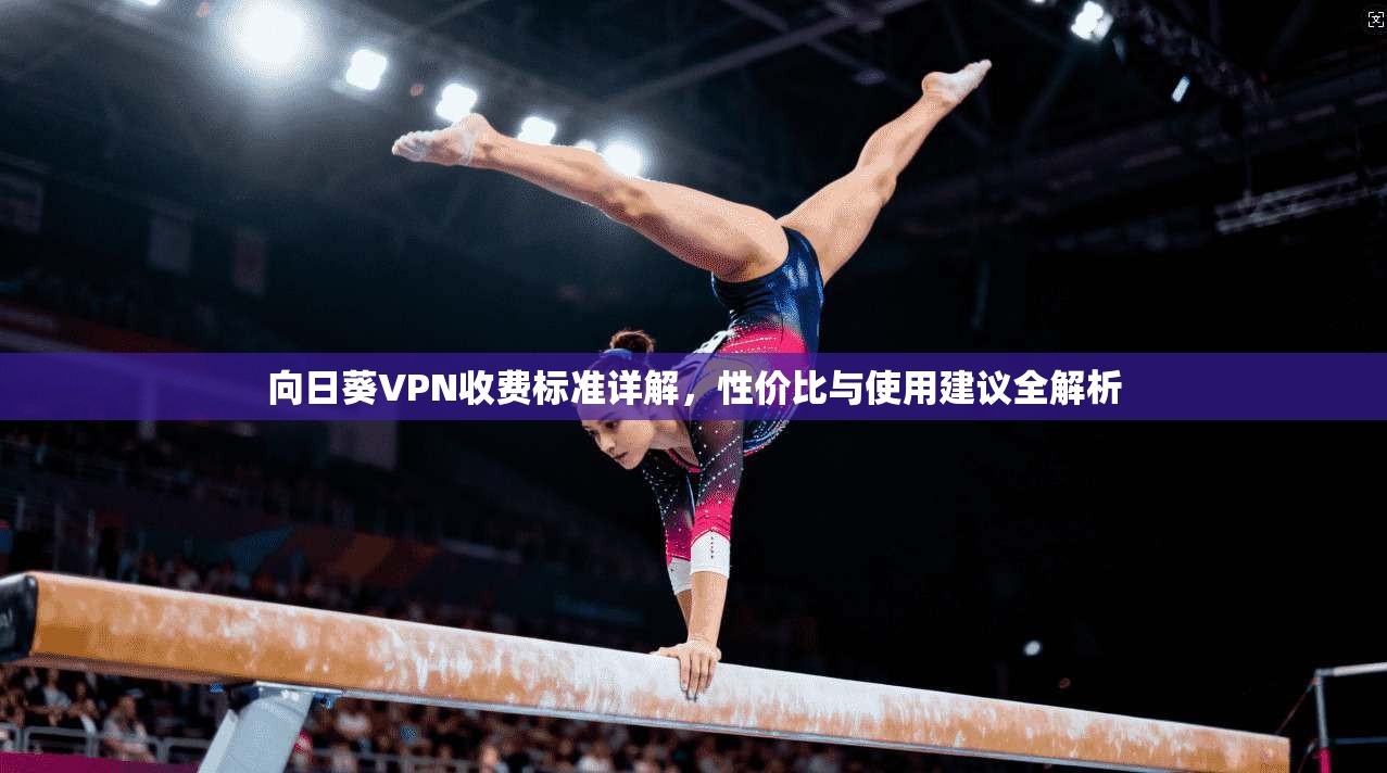 向日葵VPN收费标准详解,性价比与使用建议全解析 向日葵VPN收费标准详解,性价比与使用建议全解析