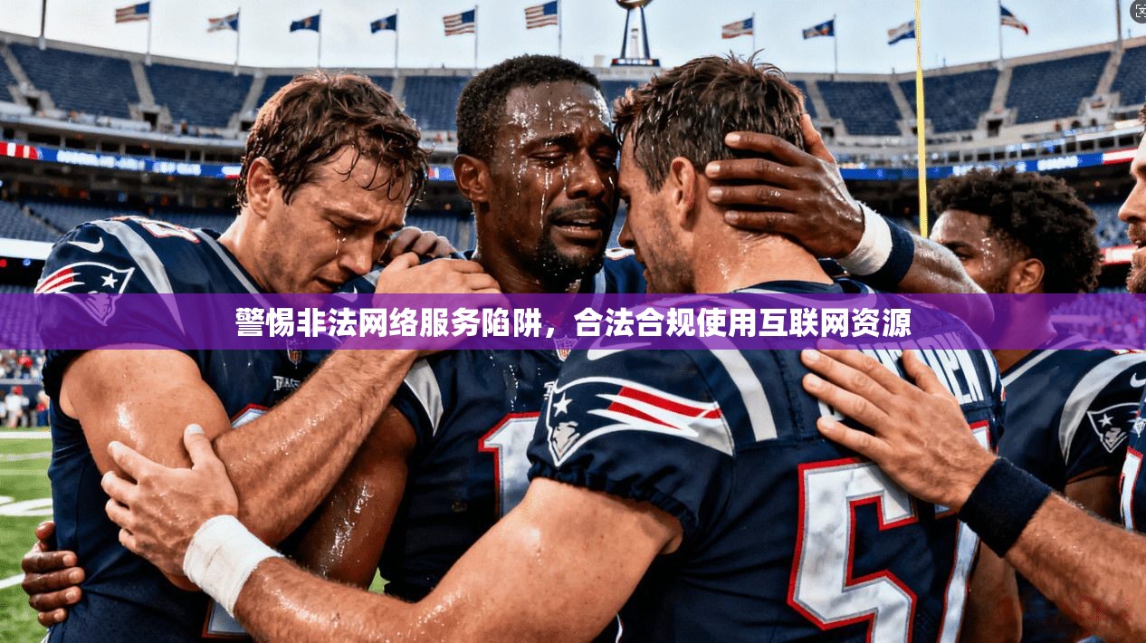 警惕非法网络服务陷阱,合法合规使用互联网资源