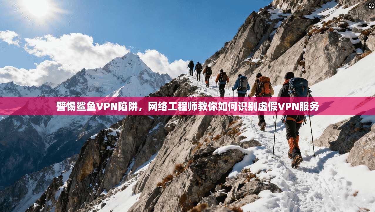 警惕鲨鱼VPN陷阱,网络工程师教你如何识别虚假VPN服务