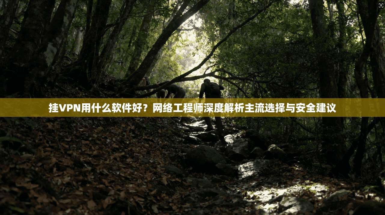 挂VPN用什么软件好?网络工程师深度解析主流选择与安全建议 挂VPN用什么软件好?网络工程师深度解析主流选择与安全建议