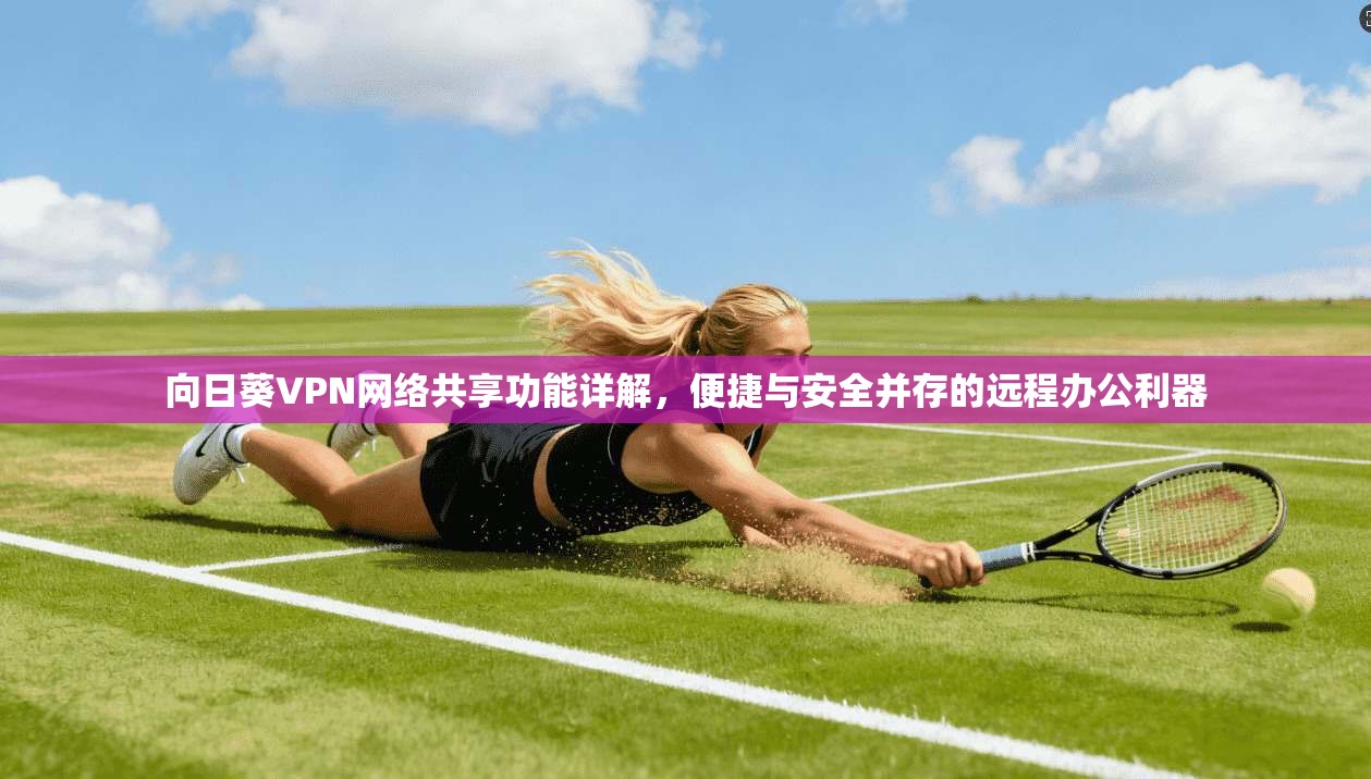 向日葵VPN网络共享功能详解,便捷与安全并存的远程办公利器 向日葵VPN网络共享功能详解,便捷与安全并存的远程办公利器
