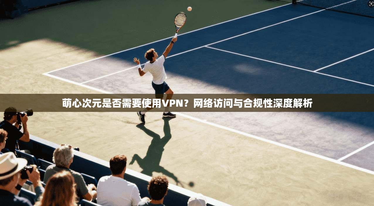 萌心次元是否需要使用VPN？网络访问与合规性深度解析