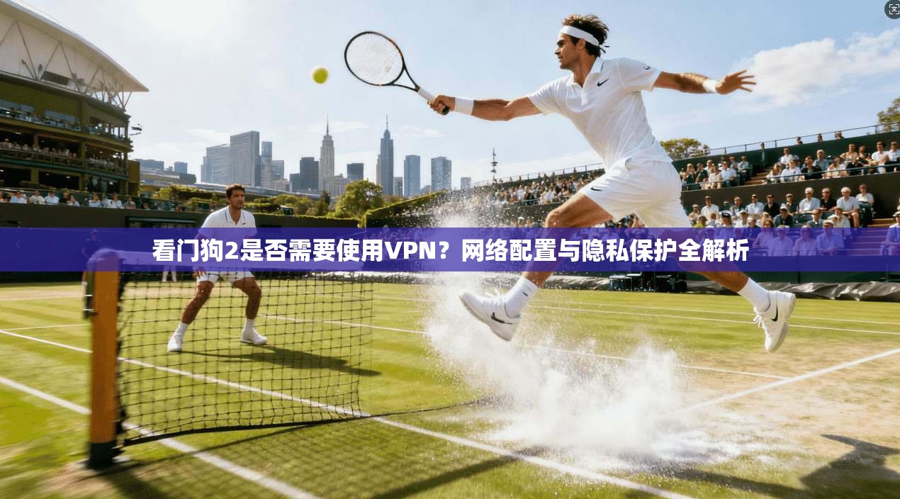 看门狗2是否需要使用VPN?网络配置与隐私保护全解析 看门狗2是否需要使用VPN?网络配置与隐私保护全解析