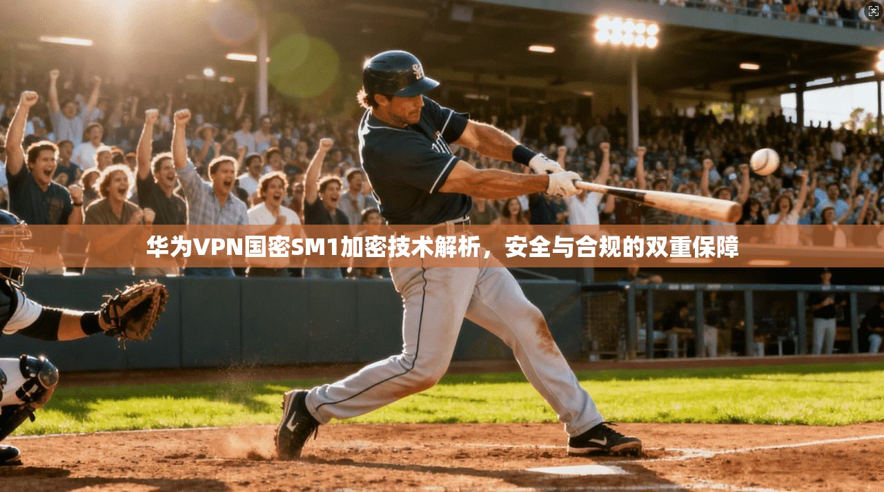 华为VPN国密SM1加密技术解析,安全与合规的双重保障 华为VPN国密SM1加密技术解析,安全与合规的双重保障