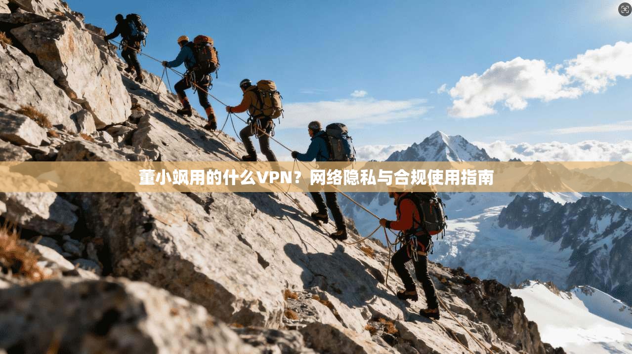 董小飒用的什么VPN？网络隐私与合规使用指南