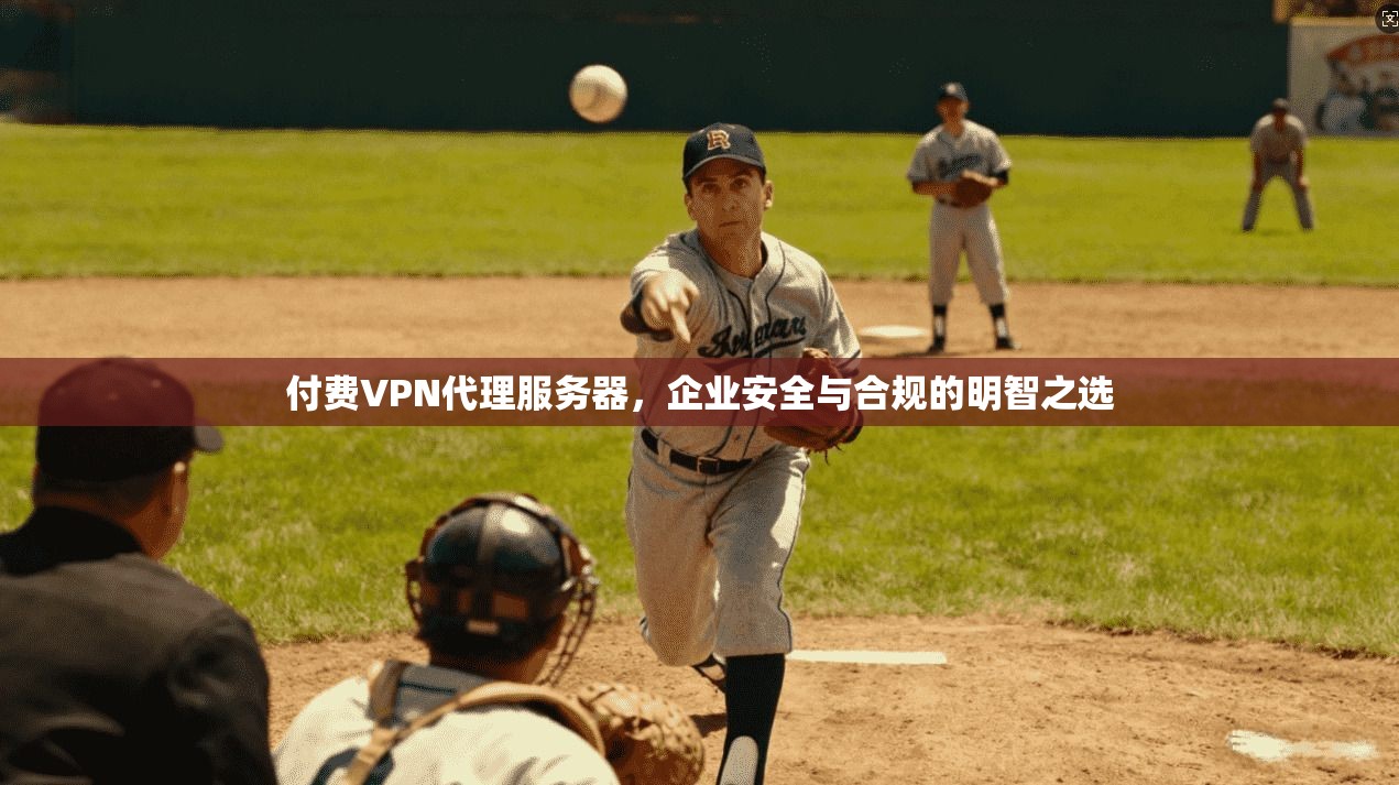 付费VPN代理服务器,企业安全与合规的明智之选