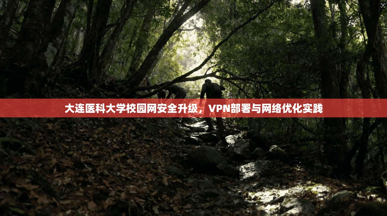 大连医科大学校园网安全升级,VPN部署与网络优化实践 大连医科大学校园网安全升级,VPN部署与网络优化实践