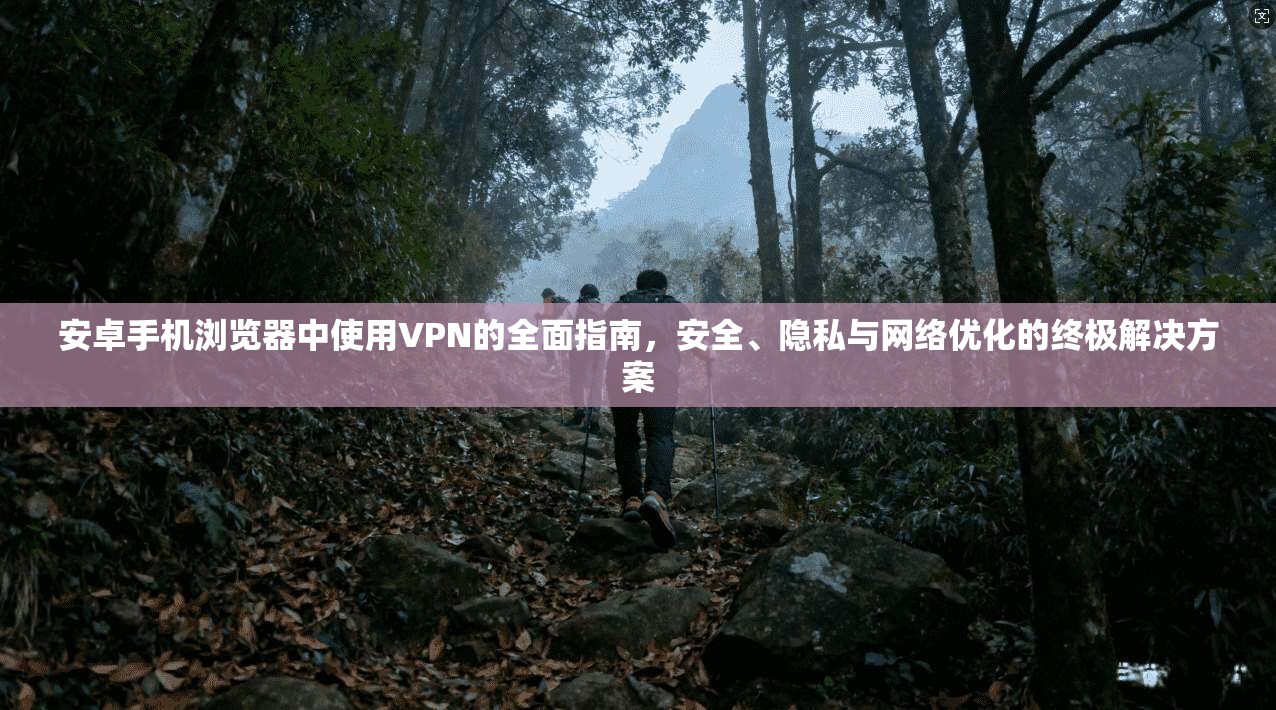 安卓手机浏览器中使用VPN的全面指南,安全、隐私与网络优化的终极解决方案 安卓手机浏览器中使用VPN的全面指南,安全、隐私与网络优化的终极解决方案