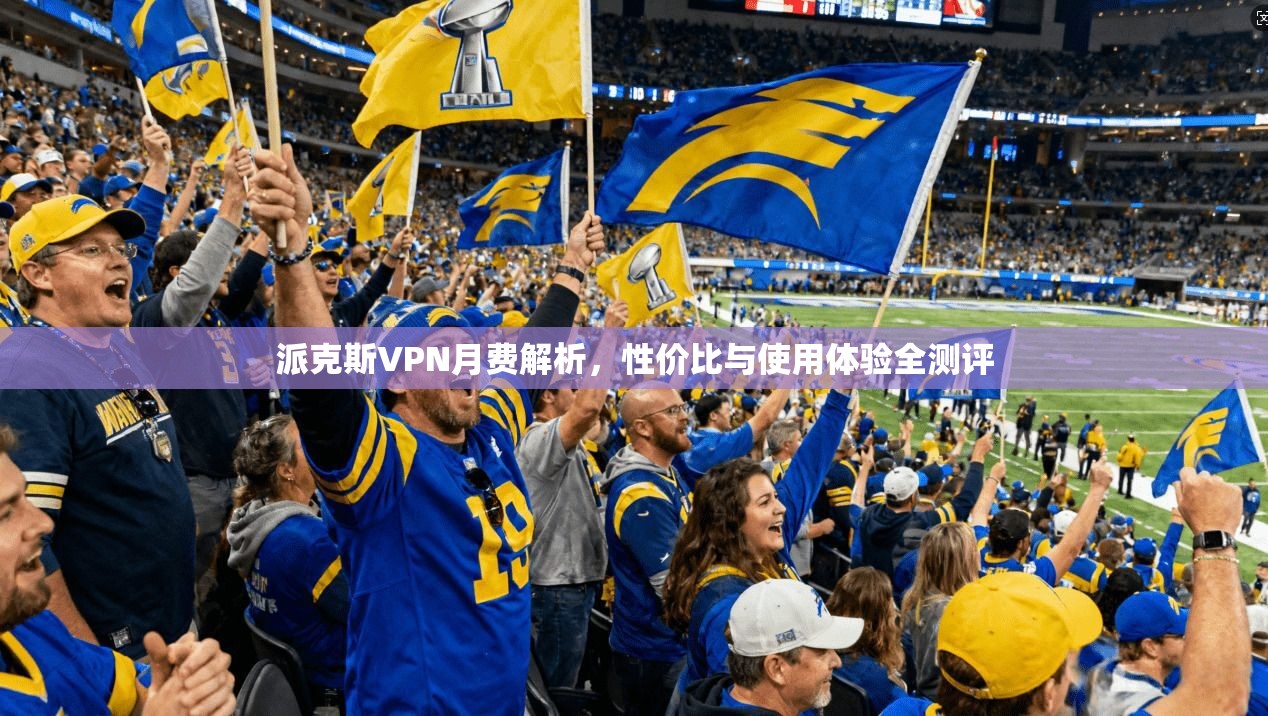 派克斯VPN月费解析，性价比与使用体验全测评