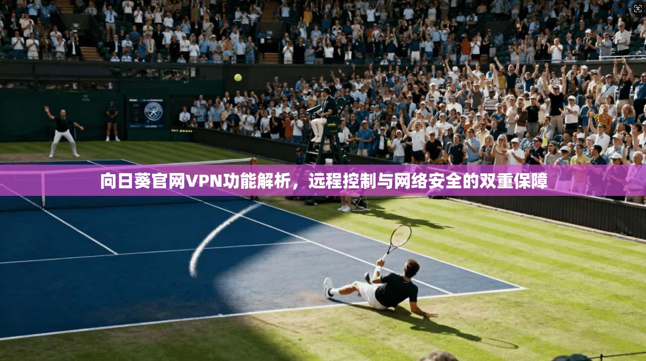 向日葵官网VPN功能解析,远程控制与网络安全的双重保障